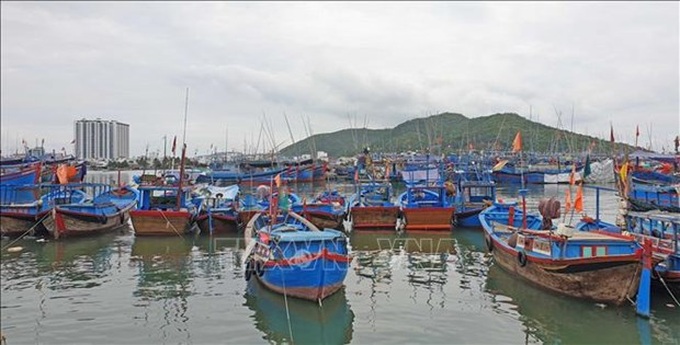 Khanh Hoa asked to hasten moves to address IUU fishing - 1 Khanh Hoa asked to hasten moves to address IUU fishing - 1