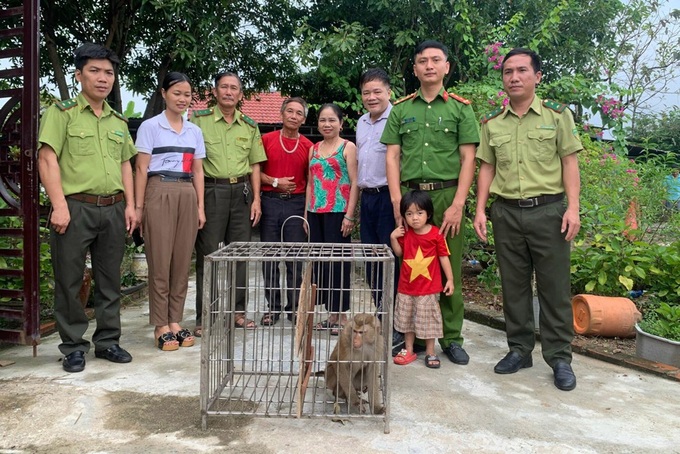 Four rare monkeys handed over to Ha Tinh national park - 1