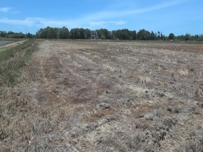 Central region faces serious drought - 1