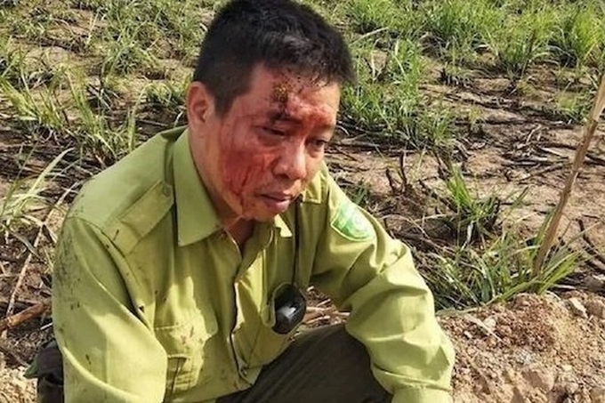 Forest rangers quit jobs in Central Highlands - 3 Forest rangers quit jobs in Central Highlands - 3