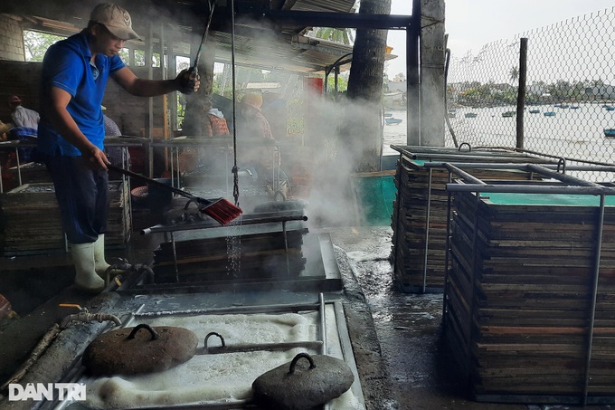 Anchovy season in Quang Ngai - 6