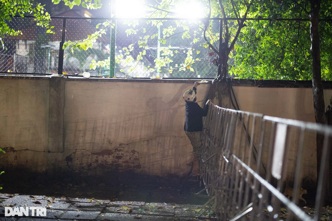 HCM City woman’s love for abandoned cats - 8