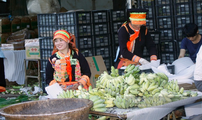 Lai Chau banana market bustles again after China border gate reopens - 6 Lai Chau banana market bustles again after China border gate reopens - 6