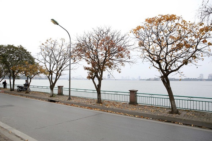 Vietnam to compete in six categories in World Travel Awards 2019 - 1