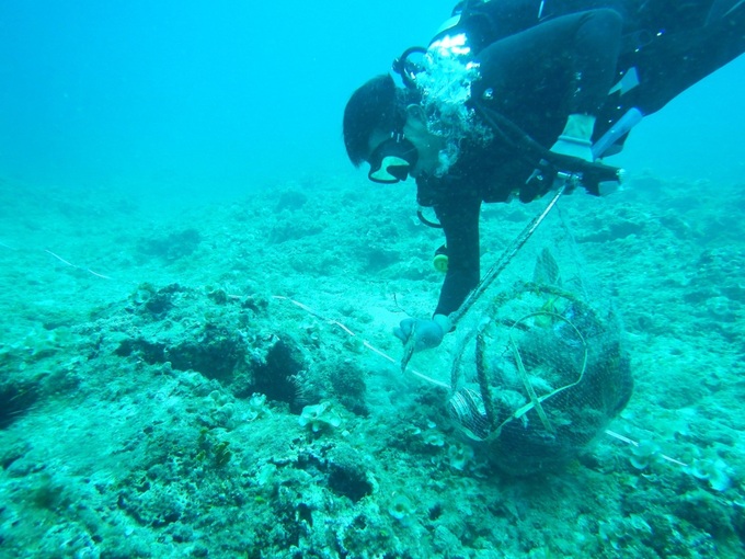 Plastic waste collection campaign launched at Ly Son Island - 1