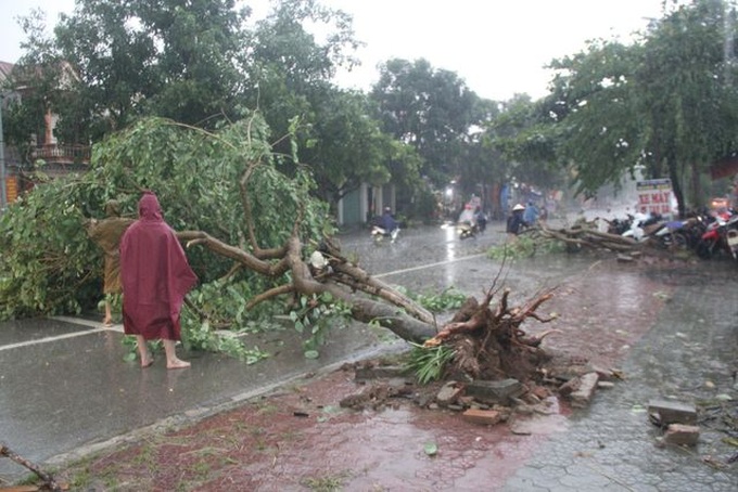 Torrential rain damages many houses, uproot trees in central region - 5