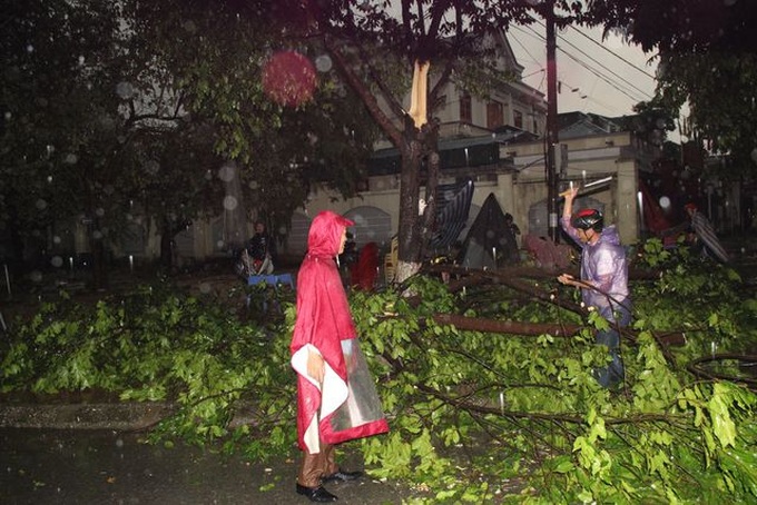 Torrential rain damages many houses, uproot trees in central region - 6