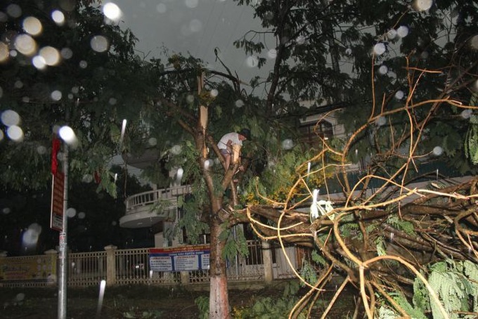 Torrential rain damages many houses, uproot trees in central region - 4