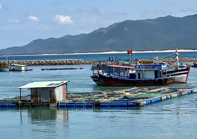 Illegal aquaculture cages block fishing boats in Binh Dinh - 1