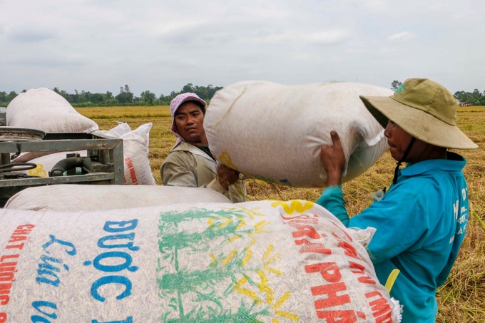 Mekong Delta rice fields submerged in floods - 6