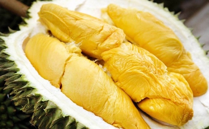 Vietnam becomes biggest durian exporter to China - 1 Vietnam becomes biggest durian exporter to China - 1