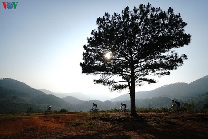 Dalat Ultra Trail 2020 opens - 1 Dalat Ultra Trail 2020 opens - 1