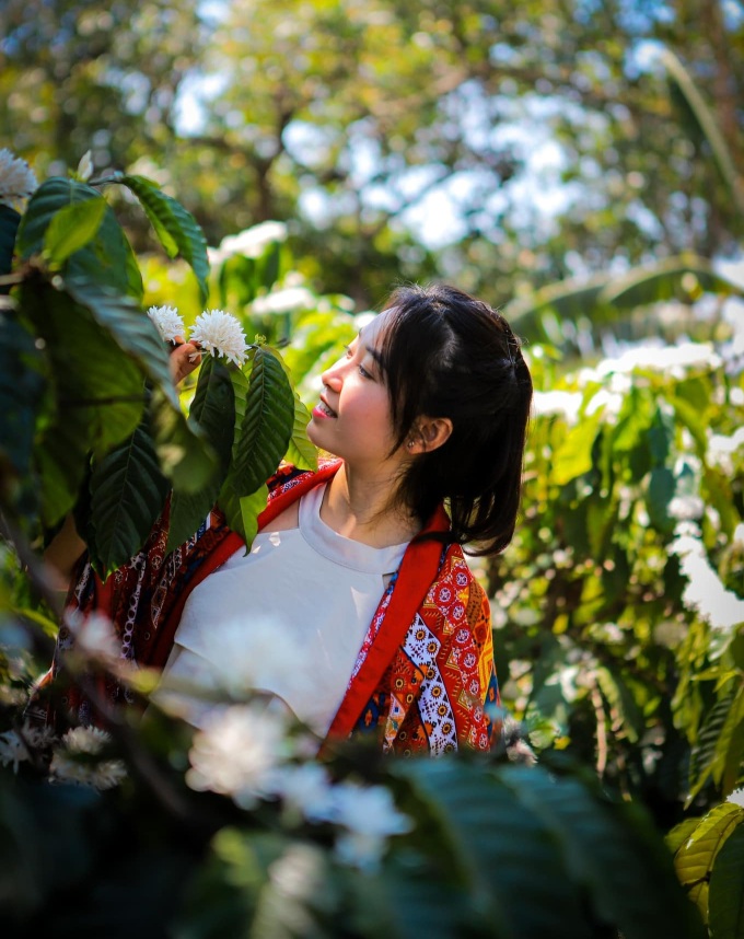 Blooming Central Highlands coffee flowers attract visitors - 9