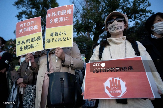 Gender gap fuels disputes as Japan gets joint custody - 1