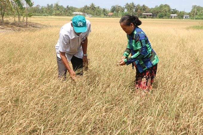 Mekong Delta provinces get help to cope with drought - 1 Mekong Delta provinces get help to cope with drought - 1