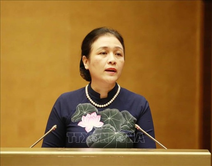 Officials: Vietnam wants further support from foreign NGOs - 1