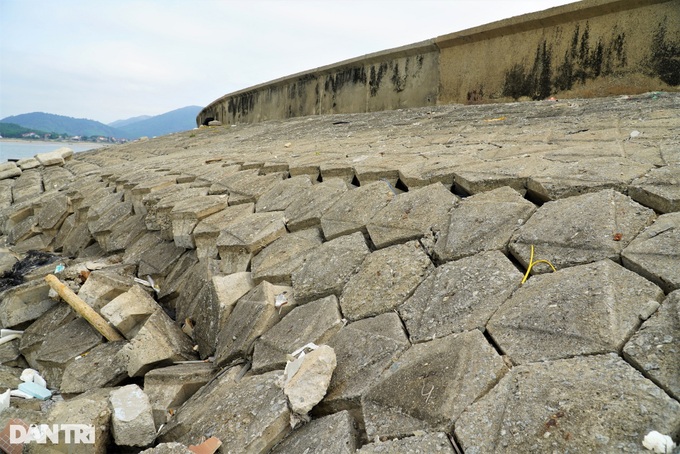 Sea dyke in Ha Tinh faces severe erosion - 4 Sea dyke in Ha Tinh faces severe erosion - 4