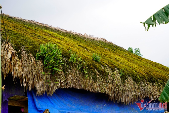 Moss-covered houses on Tay Con Linh Mountain - 4