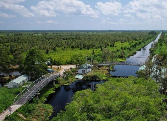 U Minh Thuong National Park closes for fire prevention - 1 U Minh Thuong National Park closes for fire prevention - 1