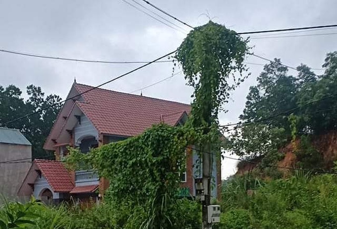 Homeowners suffer grave damages from erratic power - 1