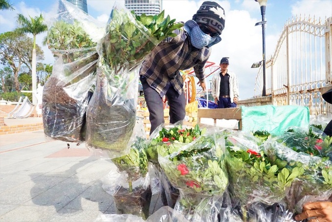 Danang streets decorated for Tet - 5