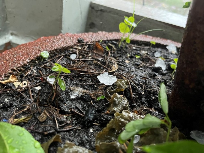 Hailstorm hits HCM City - 1