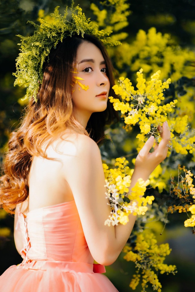 Dalat covered in yellow mimosa blossoms - 6