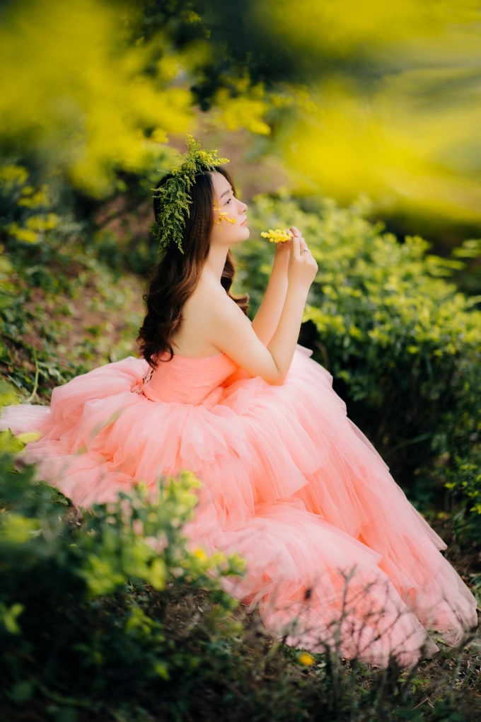 Dalat covered in yellow mimosa blossoms - 5