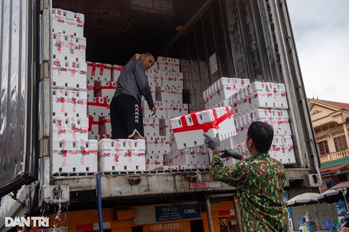 Vietnam's lychee hub busy in harvesting season - 8