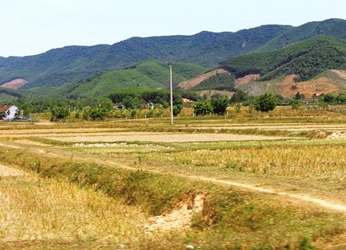 Farmland in Nghe An idle due to drought - 1
