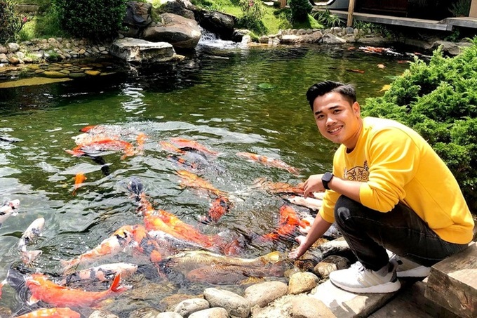 Young man earns huge profits from koi fish - 1