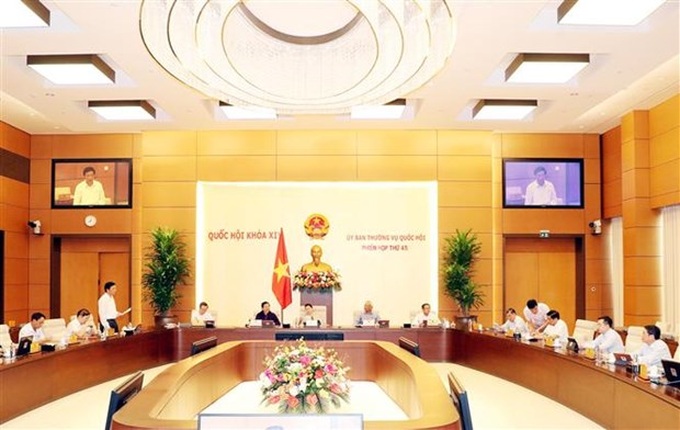 NA Standing Committee adopts resolution on public investment in 2021-2025 - 1