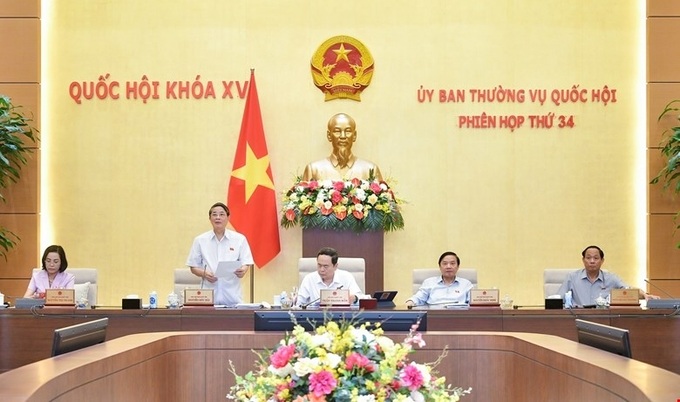 Key lawmakers support extension of VAT reduction policy till year’s end - 1
