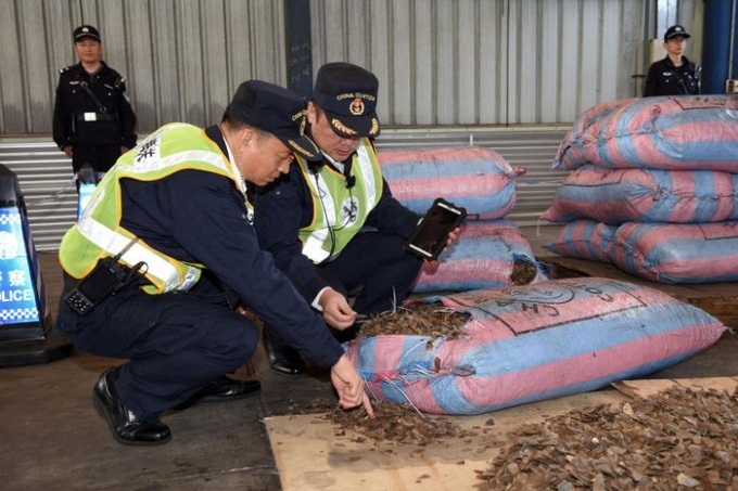 Nearly 900,000 pangolins trafficked in Southeast Asia: watchdog - 1 Nearly 900,000 pangolins trafficked in Southeast Asia: watchdog - 1