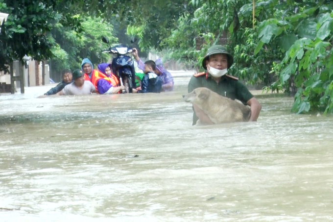 Tam Dao heavily flooded after 60-year record rainfall - 5