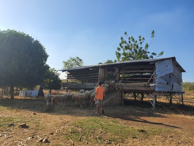 Binh Thuan struggles to deal with early drought - 1 Binh Thuan struggles to deal with early drought - 1