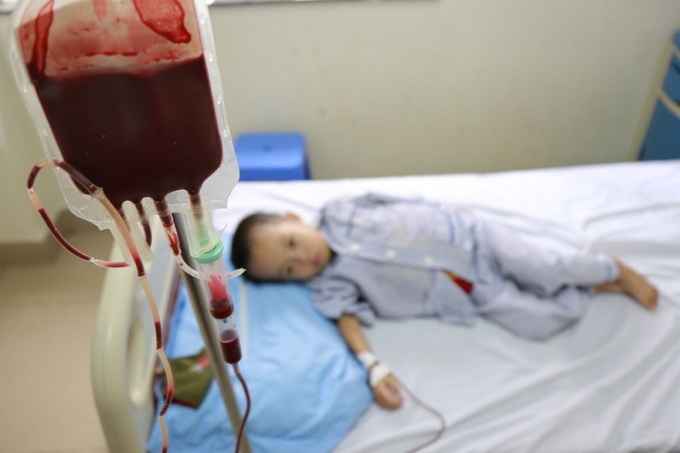 14 million Vietnamese people carry Thalassemia gene - 1
