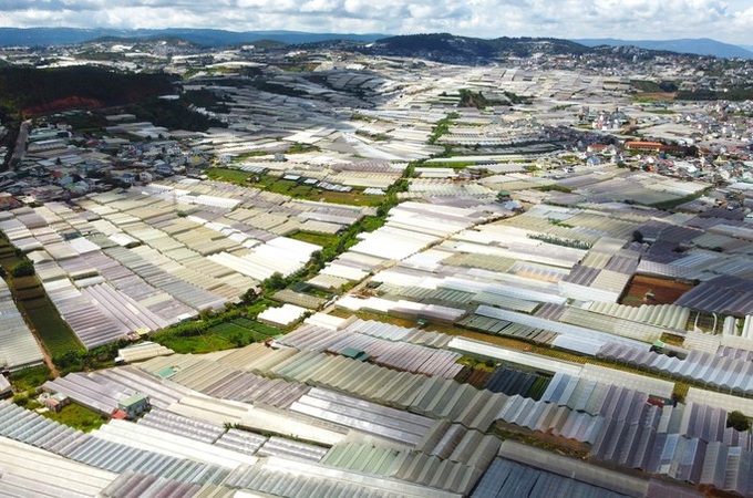 Lam Dong asks for loans to remove Dalat greenhouses - 1