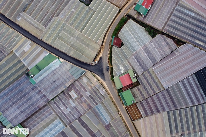 Mass greenhouse construction causes environment problems in Dalat - 1