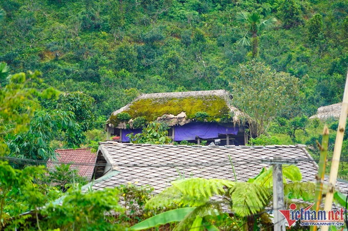 Moss-covered houses on Tay Con Linh Mountain - 7