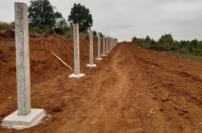 Tourism company fined VND300m for deforestation - 1