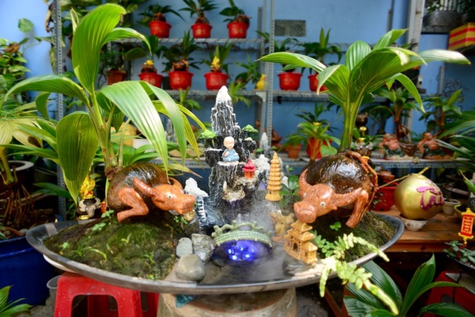 Buffalo-shaped bonsai trees bring good money on Tet - 1 Buffalo-shaped bonsai trees bring good money on Tet - 1