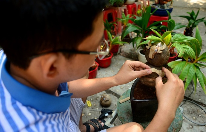 Buffalo-shaped bonsai trees bring good money on Tet - 5 Buffalo-shaped bonsai trees bring good money on Tet - 5