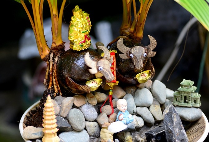 Buffalo-shaped bonsai trees bring good money on Tet - 8 Buffalo-shaped bonsai trees bring good money on Tet - 8