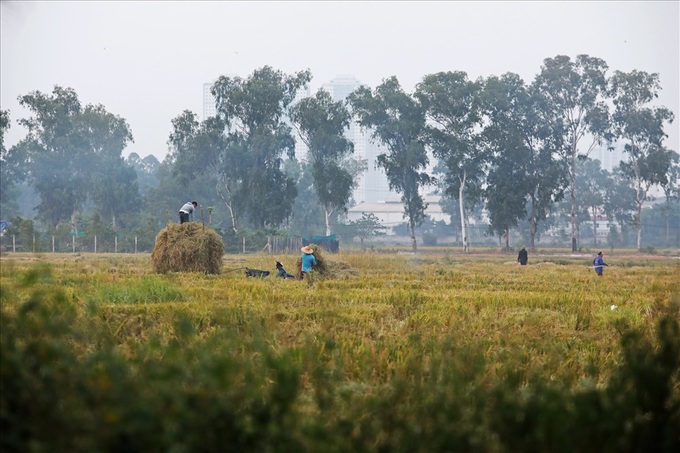 Straw burning worsens Hanoi air pollution - 1