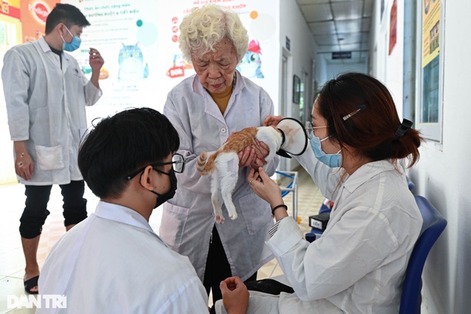 Retired lecturer runs charity clinics for pets - 4