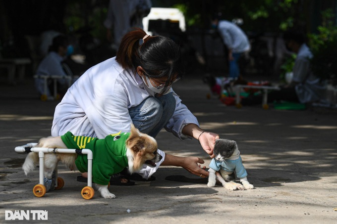 Retired lecturer runs charity clinics for pets - 7