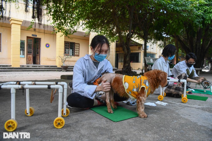 Retired lecturer runs charity clinics for pets - 8