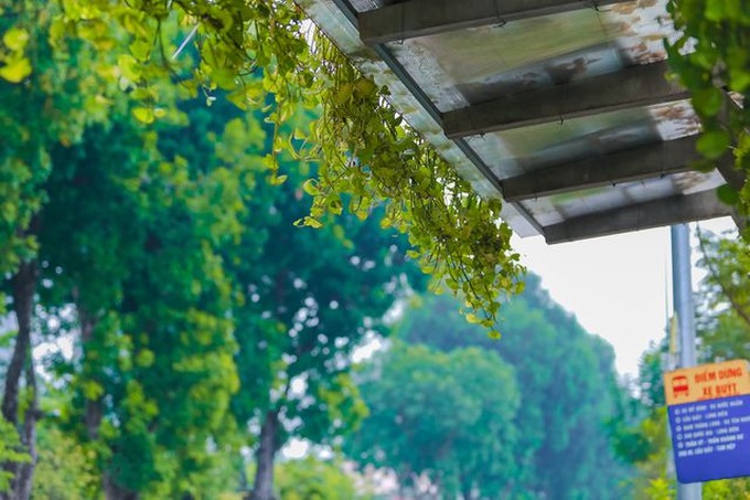 Hanoi bus stops go green - 2 Hanoi bus stops go green - 2