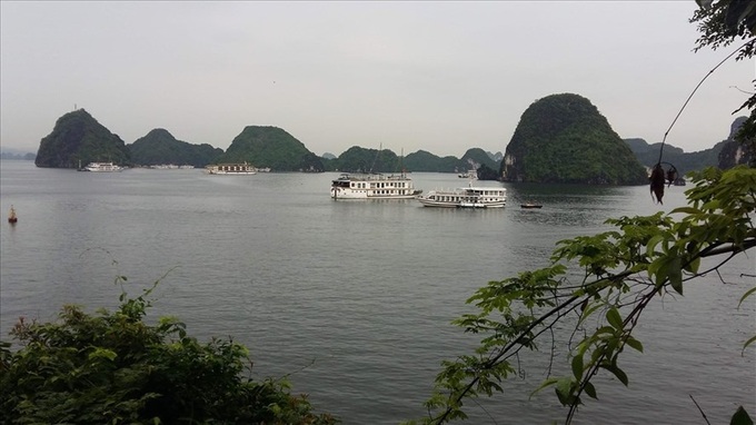 Proposals for tourism services for Ha Long Bay meets opposition - 1 Proposals for tourism services for Ha Long Bay meets opposition - 1